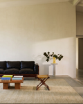 Tappeto Brasilia TENCEL™ Speciale Telaio Nero, Moderno, Semplice, Elegante, Realizzato a Mano, PLAIN GREEN