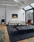 Kanin Serie handgewebter Shaggy weicher Wohnzimmer Sitzbereich Schlafzimmer Teppich ANT